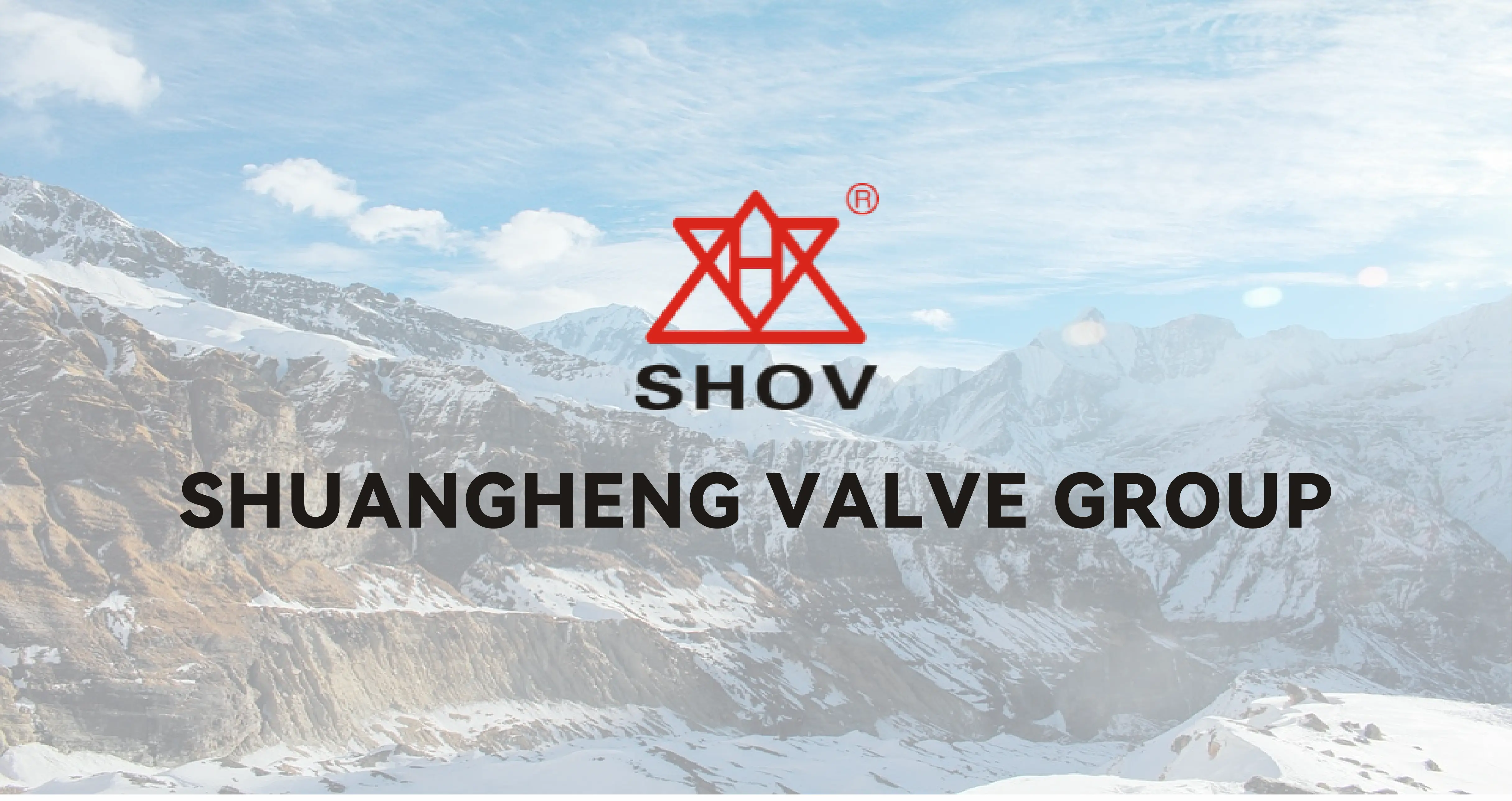 company profile cover